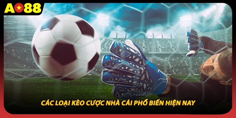 Các loại kèo cược nhà cái phổ biến hiện nay