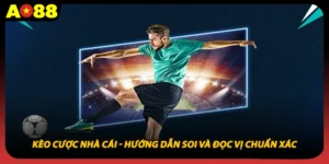 Kèo Cược Nhà Cái - Hướng Dẫn Soi Và Đọc Vị Chuẩn Xác